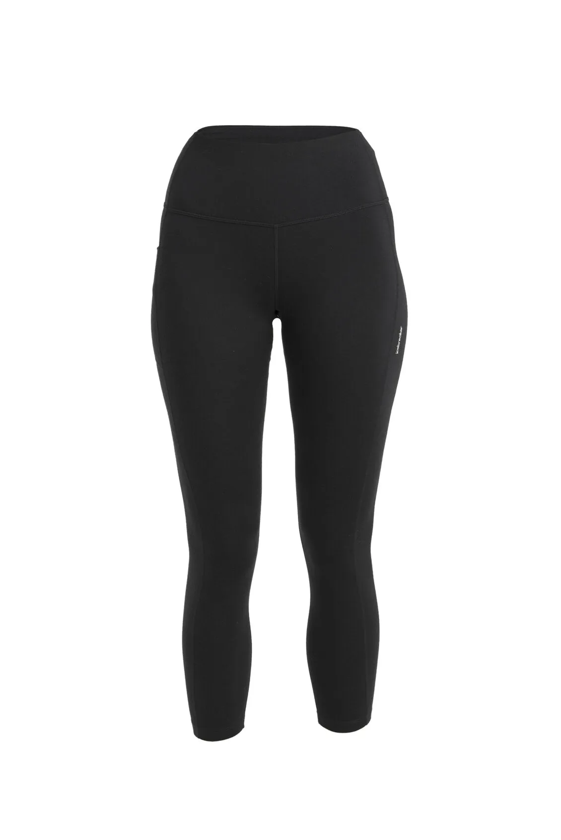 Icebreaker Merino 260 Fastray 25" High Rise Tights (Women's)